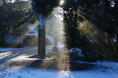 A13