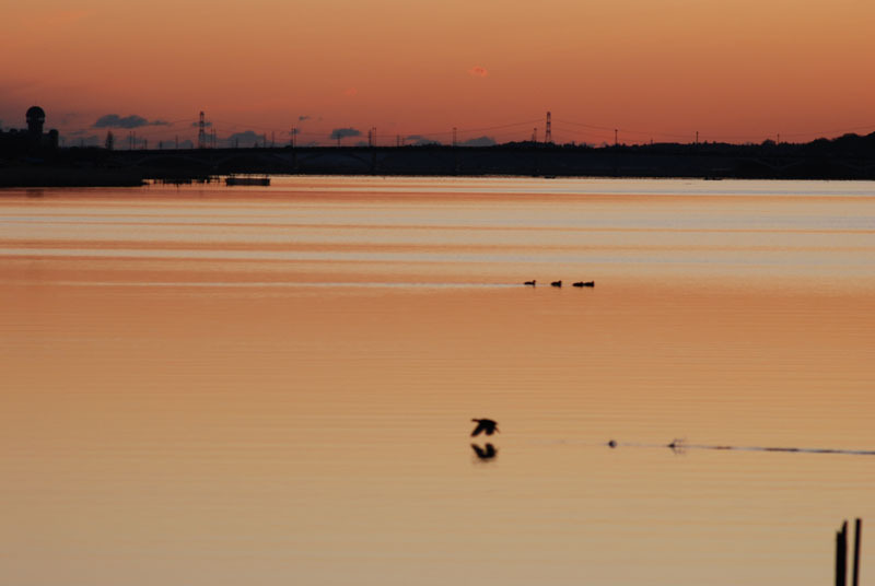 ２０１１年初日