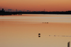 ２０１１年初日