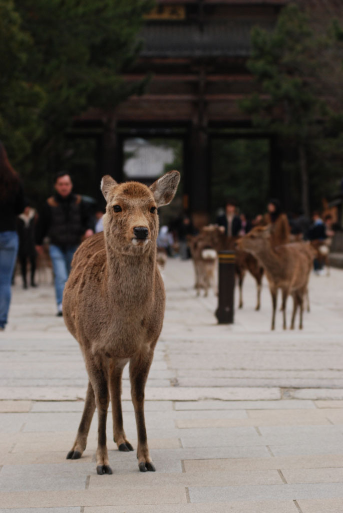 布施を請う