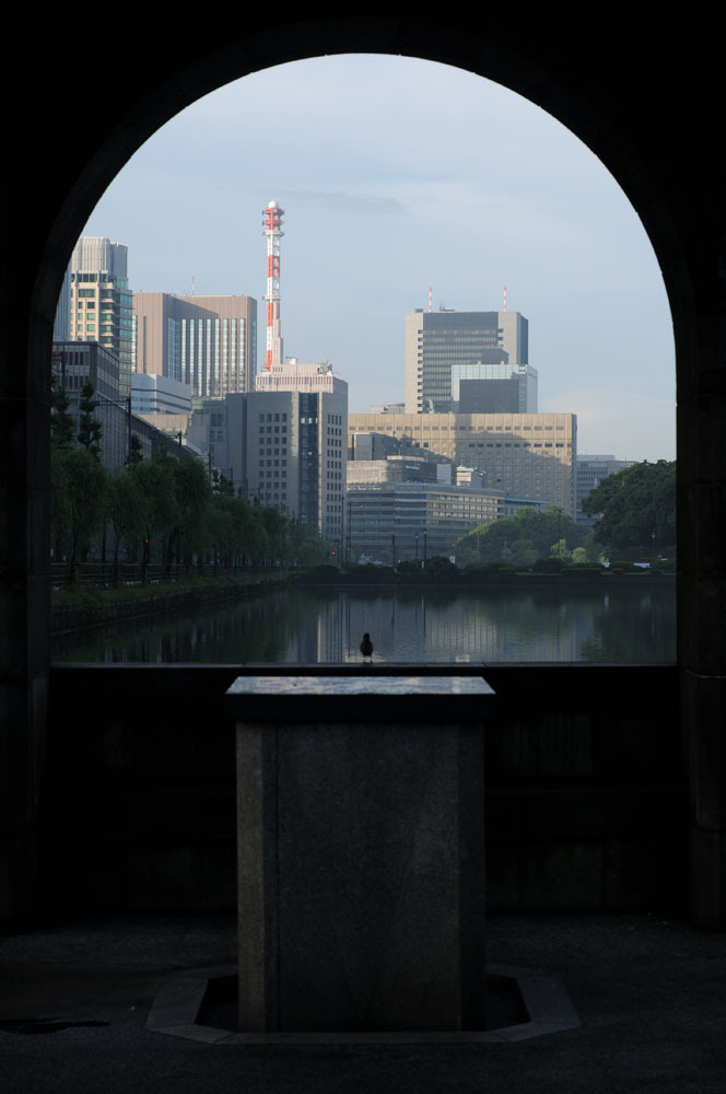 morning tokyo 06