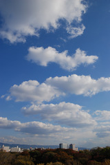 森・町・遠山・青空・白雲