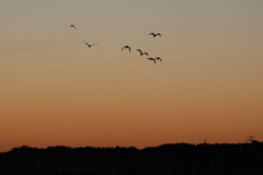 ２０１１年初日