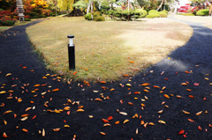 庭園