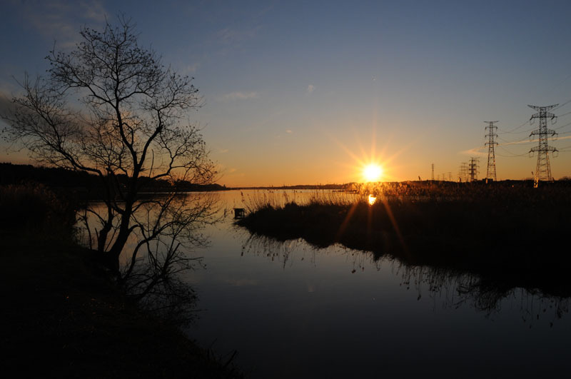 ２０１１年初日