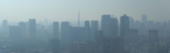 霧東京