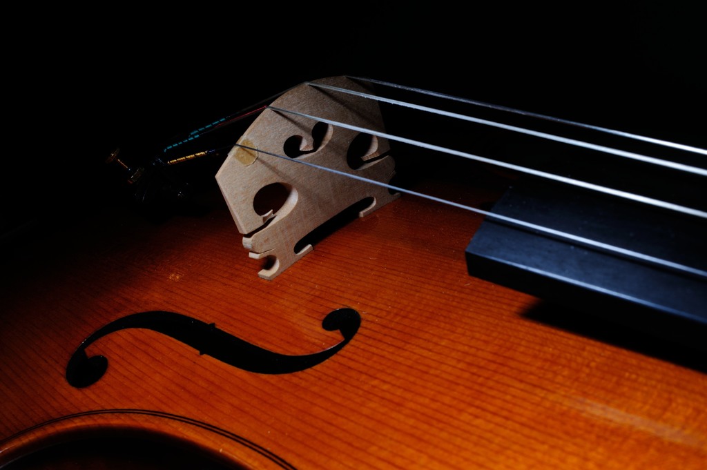 viola-1
