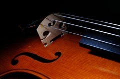 viola-1