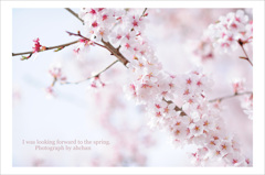 look forward to the spring