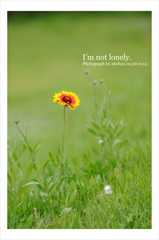 I'm not lonely