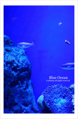 Blue Ocean