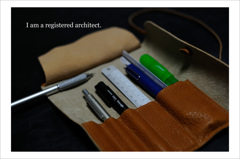 I am a registered architect.