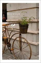 Bicycle