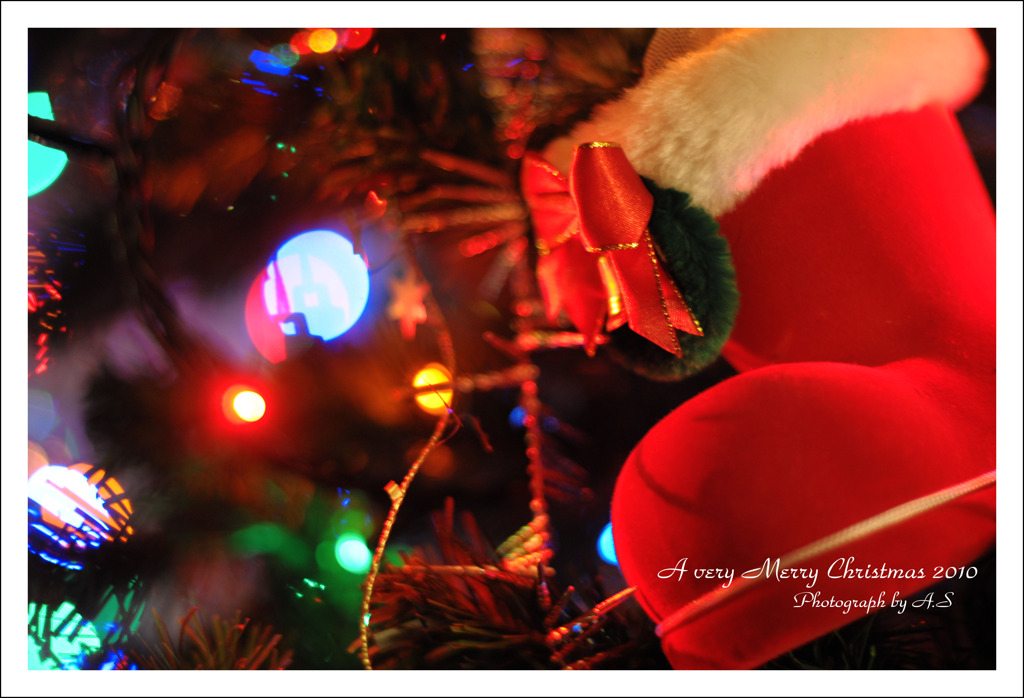 クリスマスNo.2