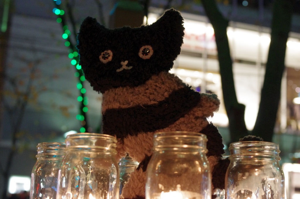 Black Cat