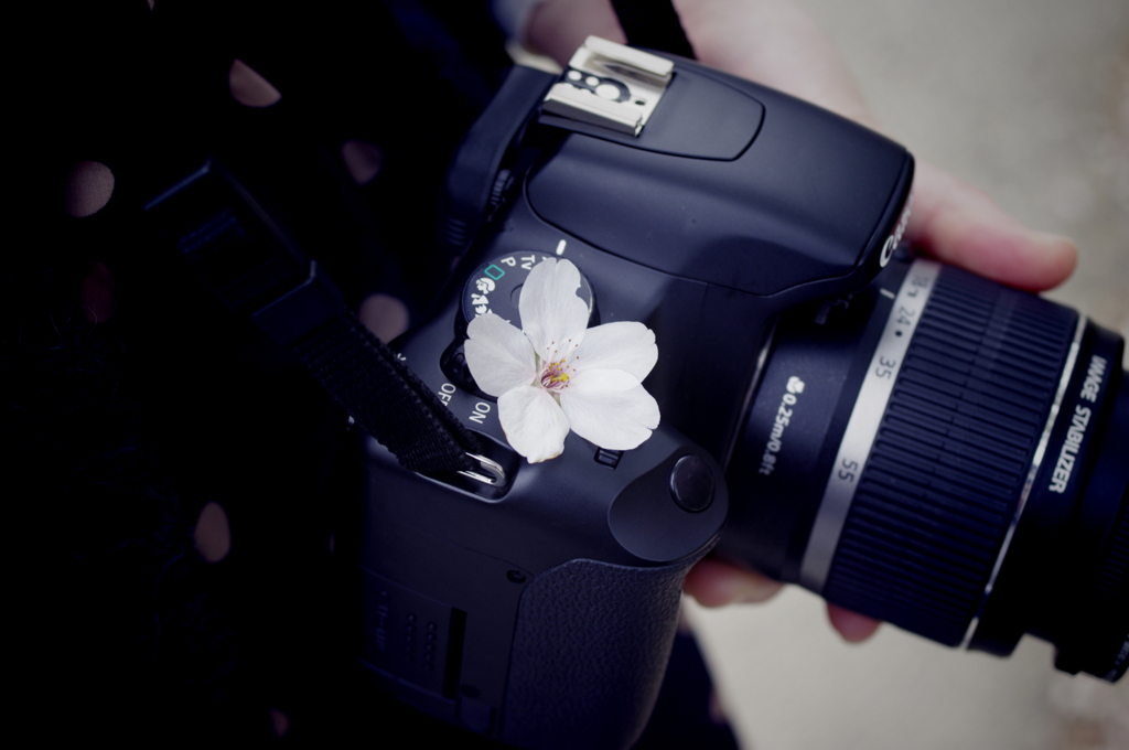 桜×EOS Kiss