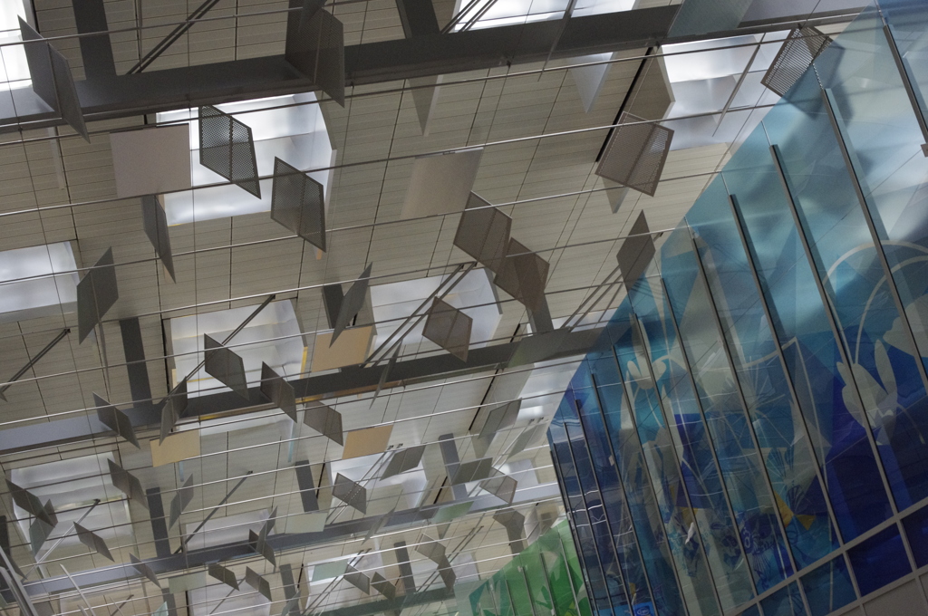 the ceiling of Changi airport