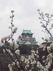 天守閣と梅林～構図だけ整えてみました～