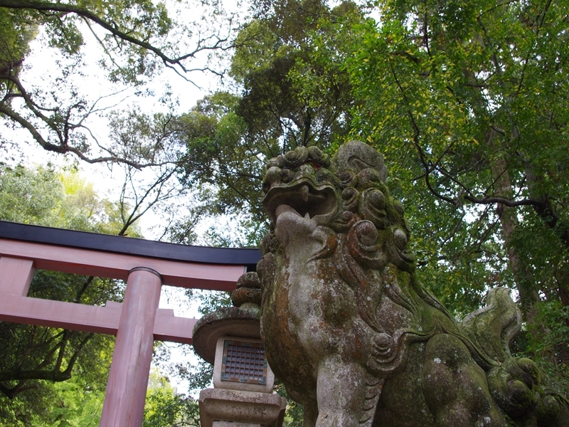 狛犬と鳥居～てんぺすとさん風～