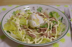 a spring cabbage (junk style)