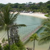 a tropical view