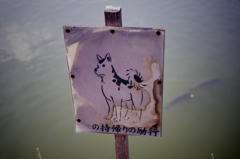犬と鯉＠八条ヶ池