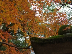 紅葉と苔の灯篭