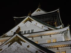 大阪城ライトアップ３