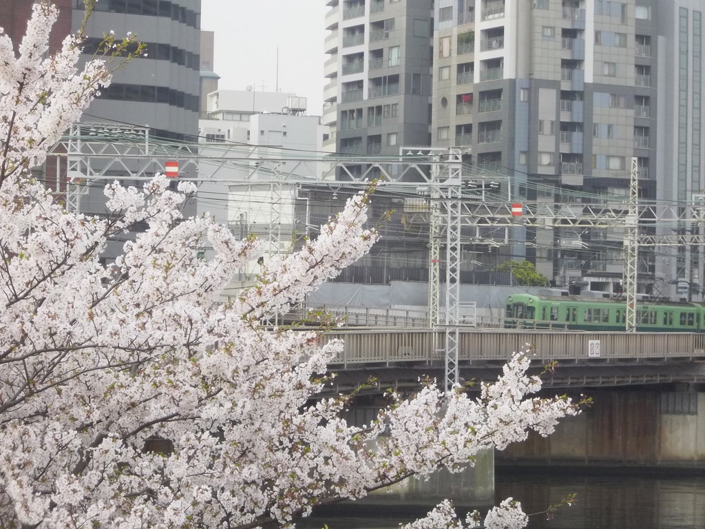 SAKURA×KEIHAN