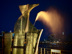 Night Fountain Of Ookawa River