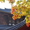 東大寺大仏殿と紅葉