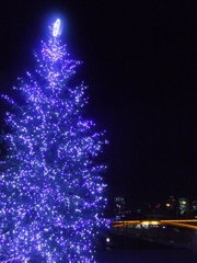 A illumination Tree & Tenjin-bashi