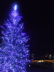 A illumination Tree & Tenjin-bashi