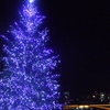 A illumination Tree & Tenjin-bashi