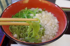 ダシがうまい！藤吉うどん