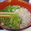 ダシがうまい！藤吉うどん