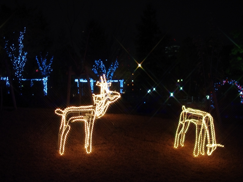 OAPのイルミネーション