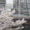 SAKURA×KEIHAN 2