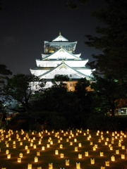 優しい灯りと天守閣