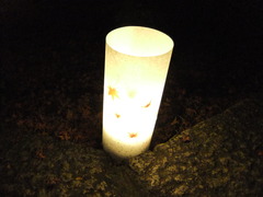 永観堂　紅葉ライトアップ６