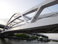 a dynamic bridge