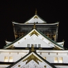 大阪城ライトアップ２