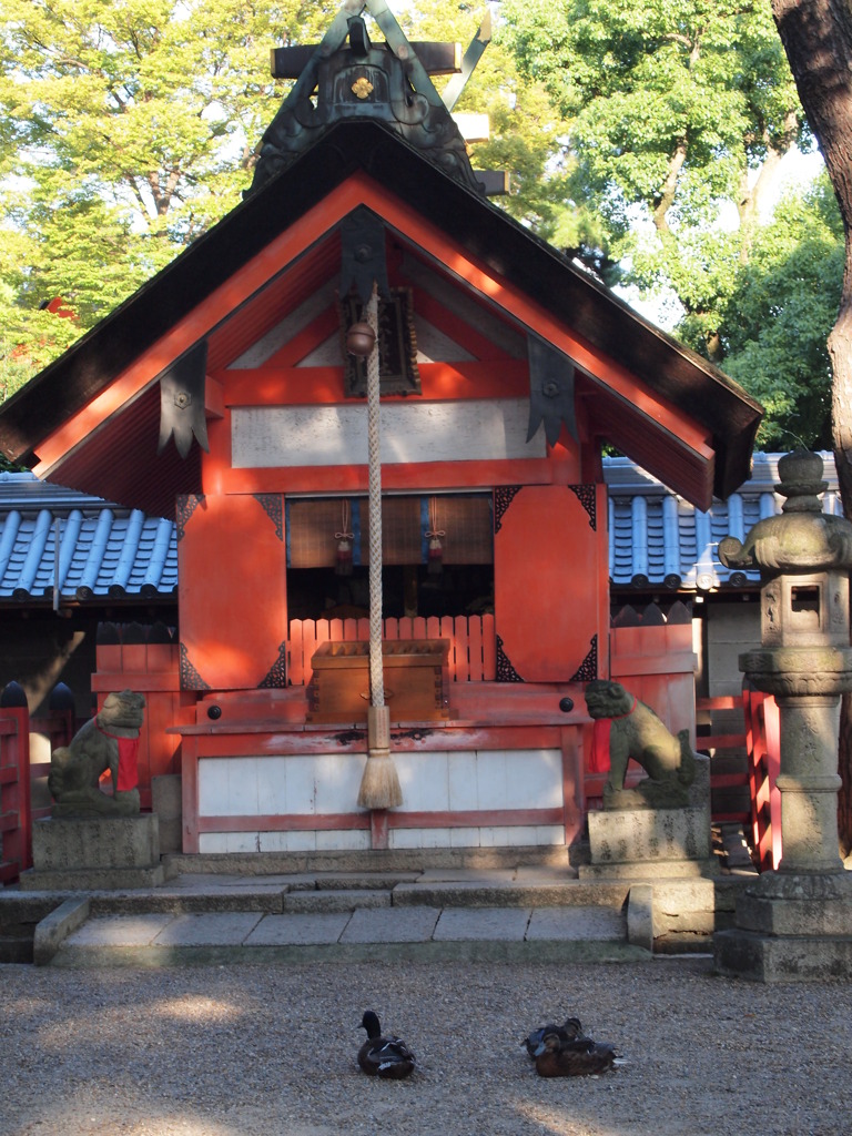 お参りするかも