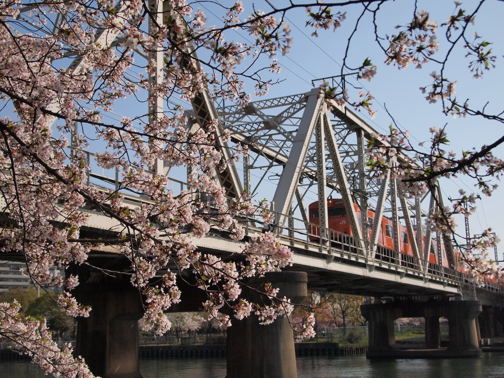 環状線と桜