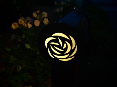 a rose light