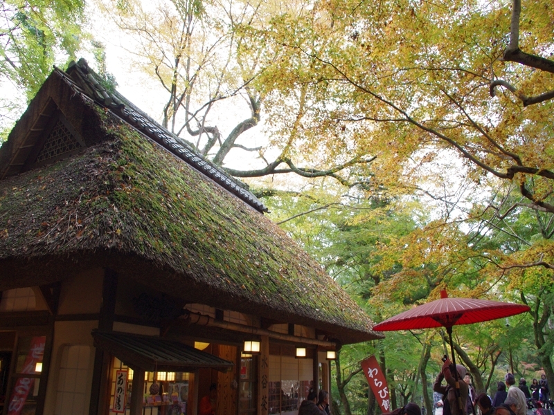 茅葺茶屋とフォトグラファー