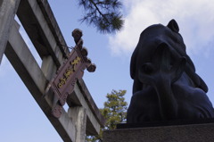 狛犬のおしり