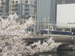 SAKURA×KEIHAN 3