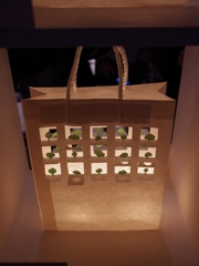 "green" pager bag