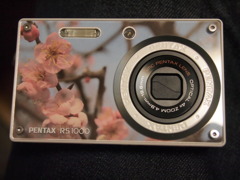 薄桃色の梅カメラ